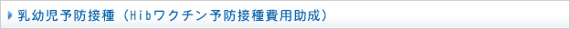乳幼児予防接種（Hibワクチン予防接種費用助成）
